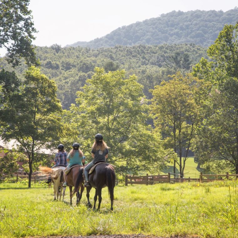Trail Rides at Springmaid Mountain