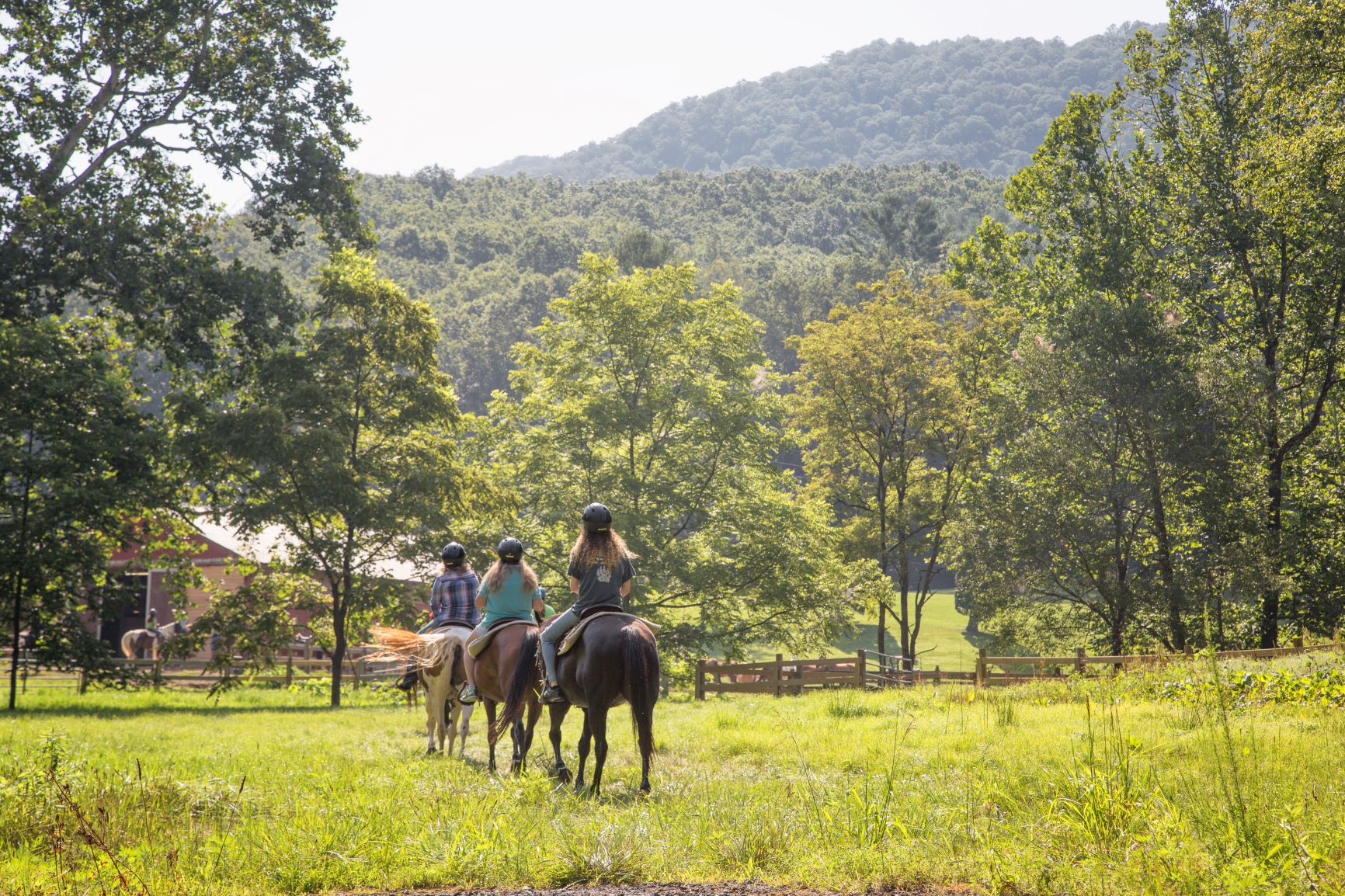 Trail Rides at Springmaid Mountain