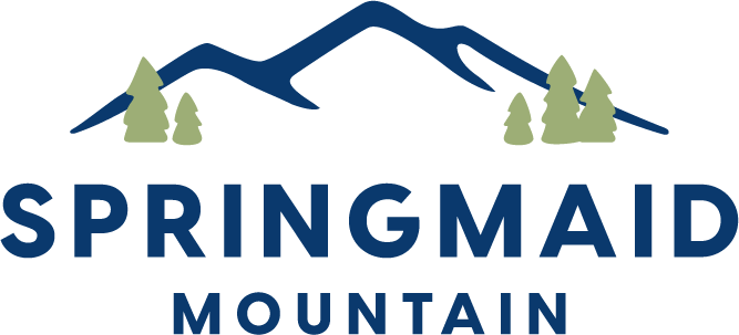 SMM Logo