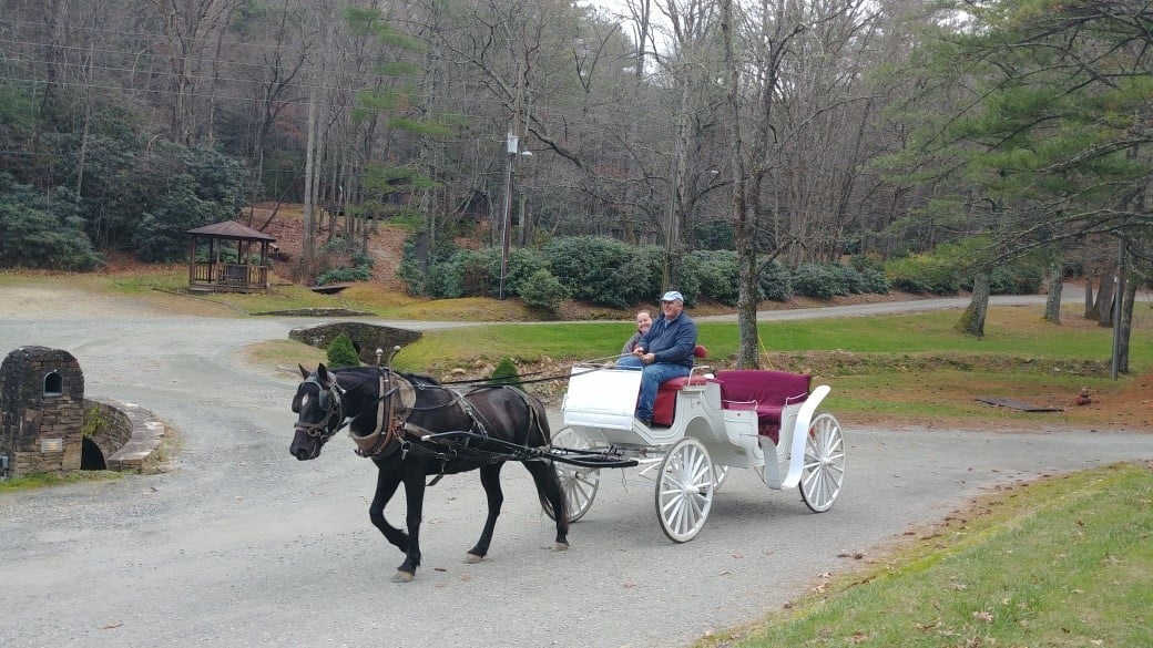 carriage ride