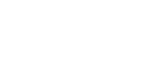SMM Logo White