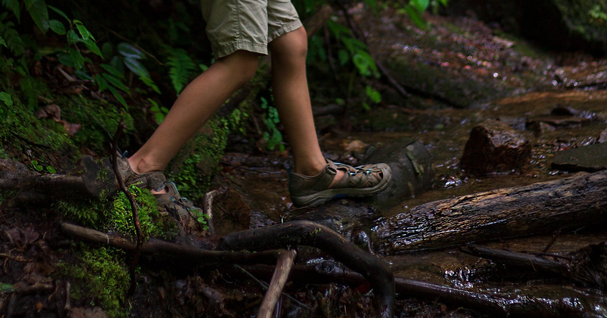 Hiking Near Blue Ridge Parkway
