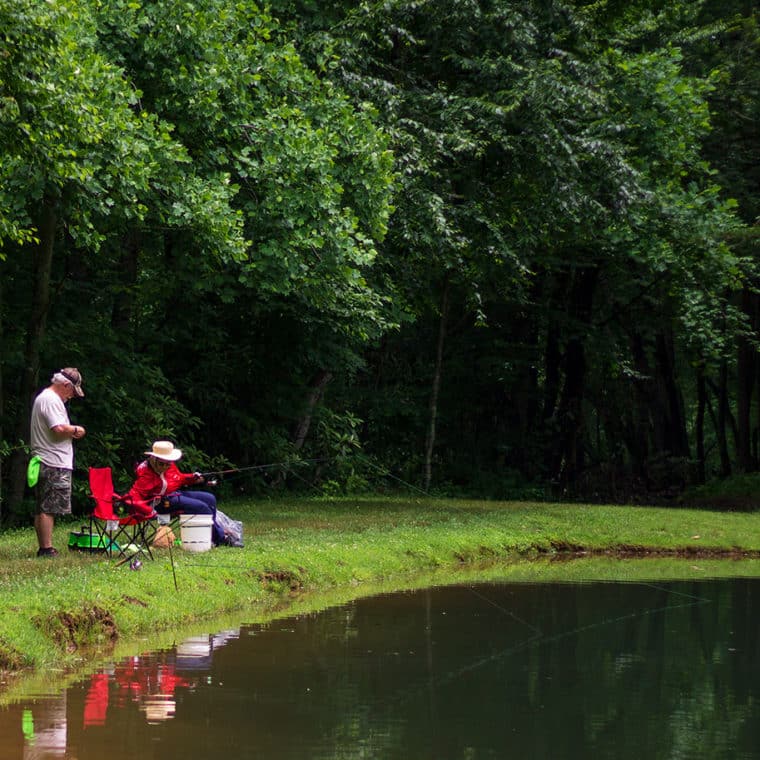 Fish Stocked Ponds