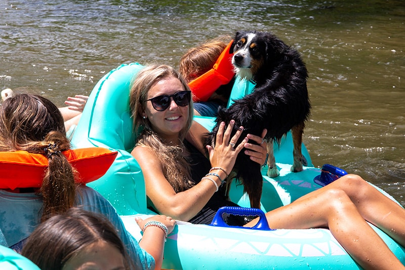 Tube the North Toe River