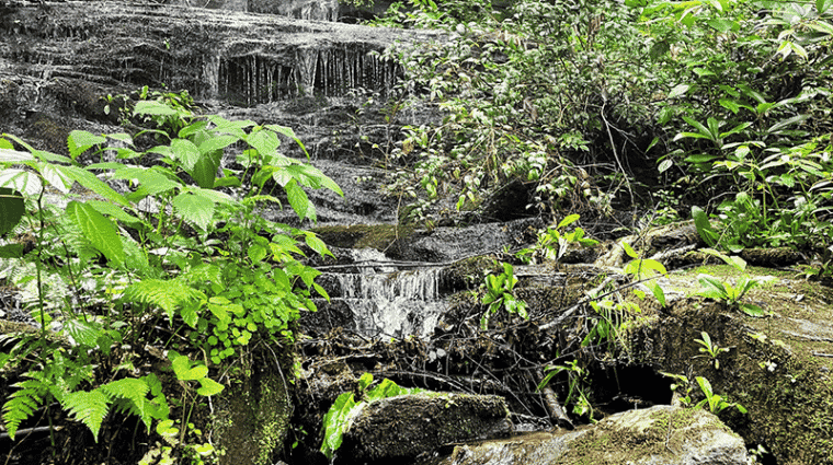Waterfall at Springmaid Mountain