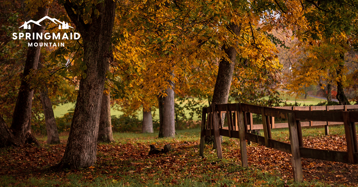 Fall at Springmaid Mountain