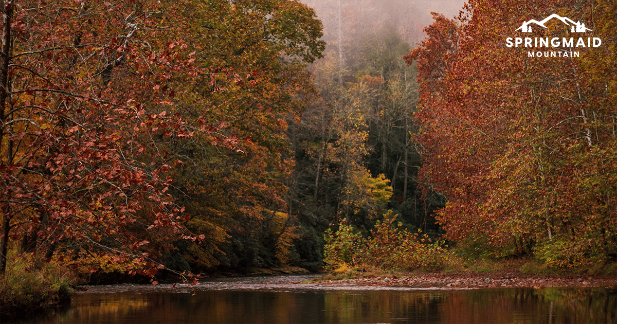 North Toe River in Fall