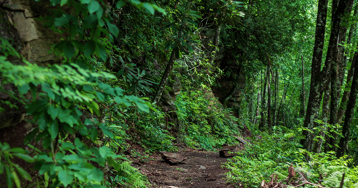 Springmaid Mountain Trail