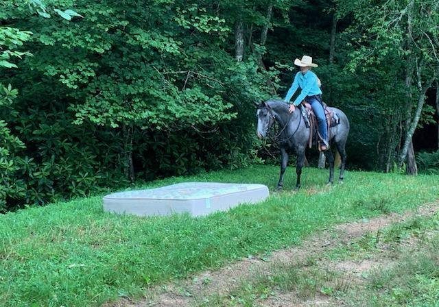 Robbie Potter Horsemanship 2