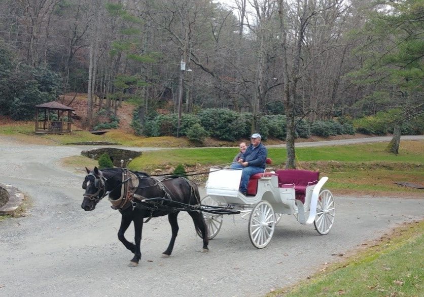carriage ride
