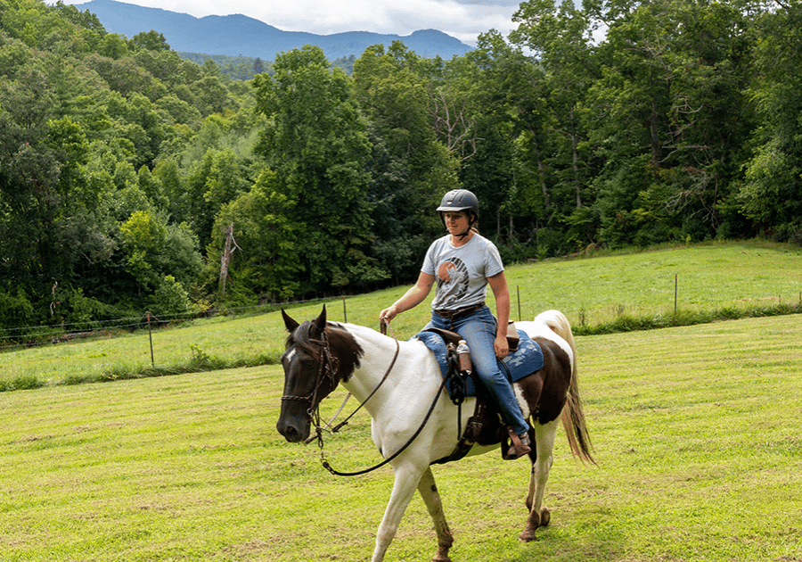 Trail Rides at Springmaid Mountain
