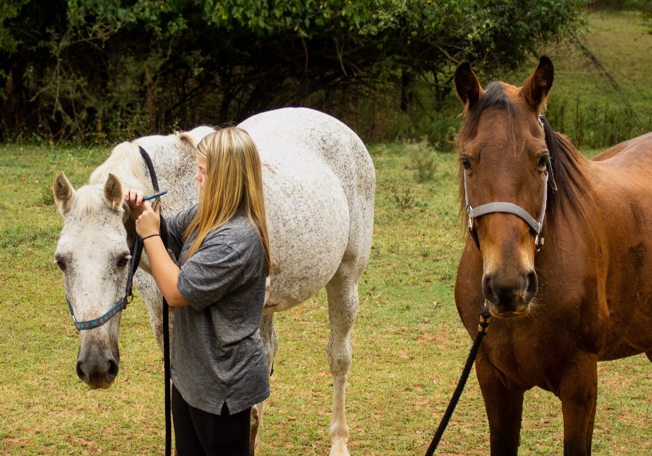 Horsemanship Club1